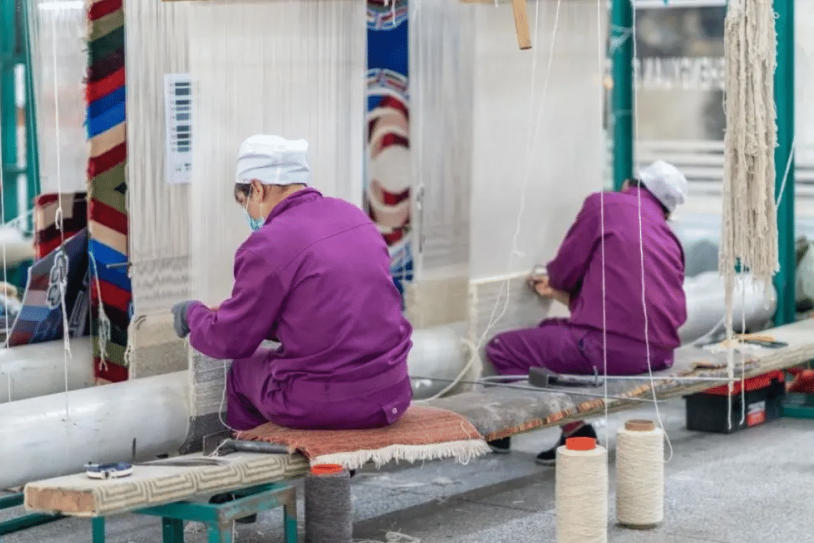原料分拣洗毛