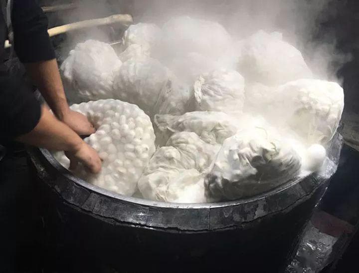 沸水煮茧