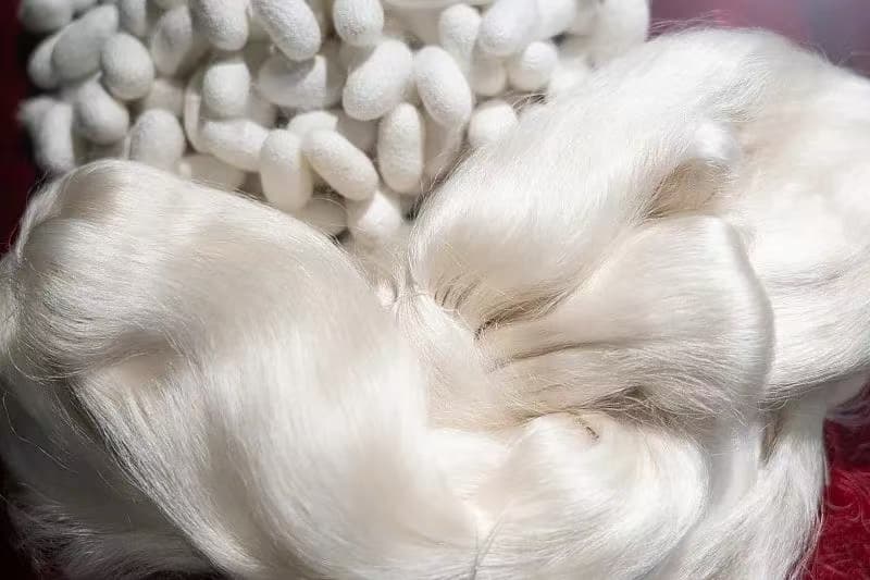 桑蚕丝