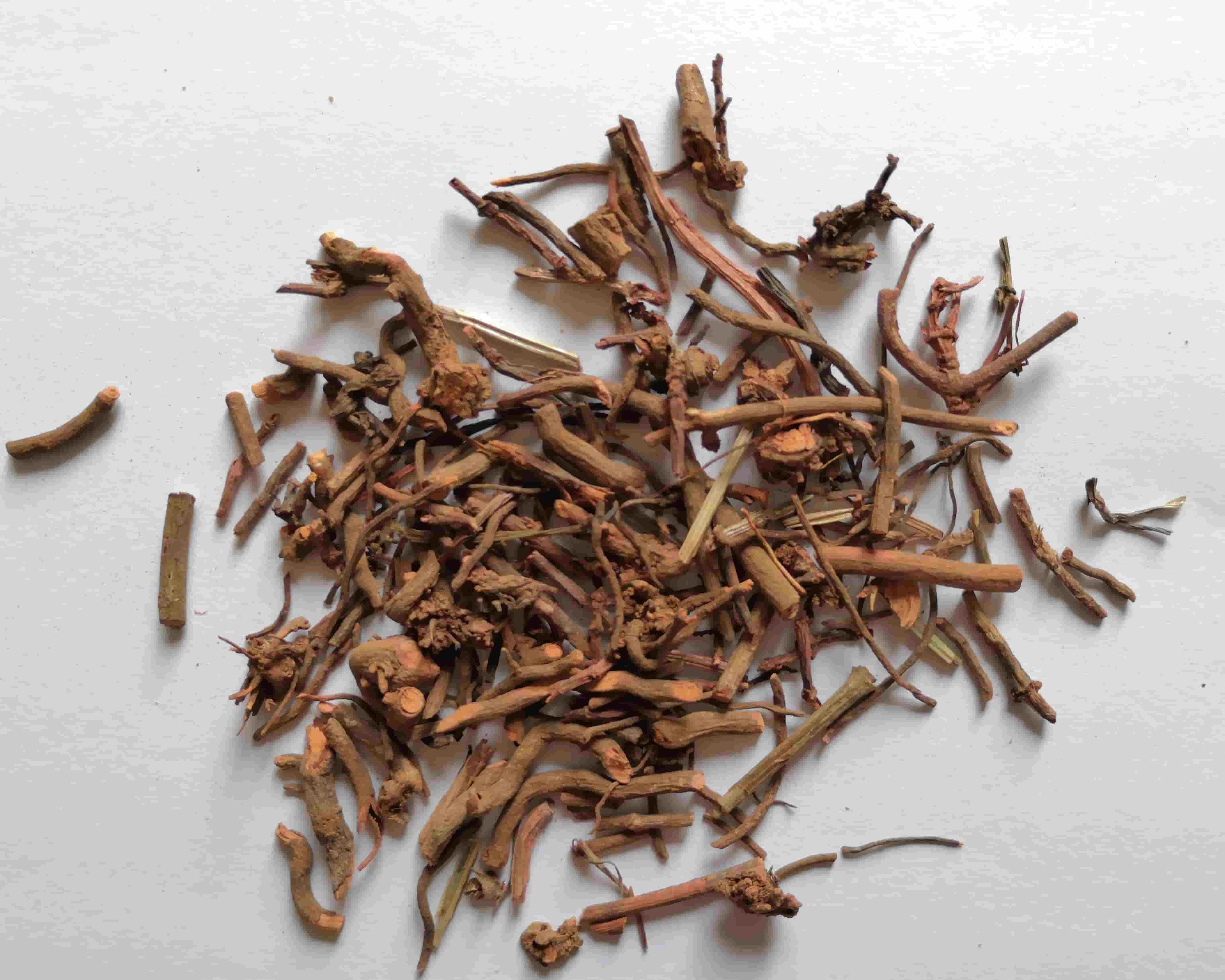 茜草