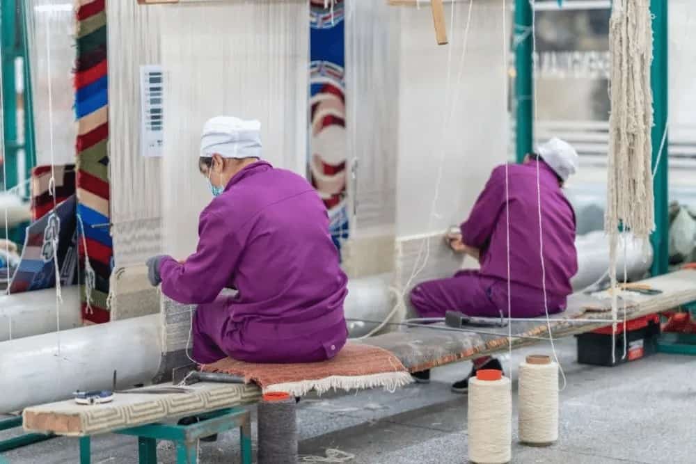 原料分拣洗毛