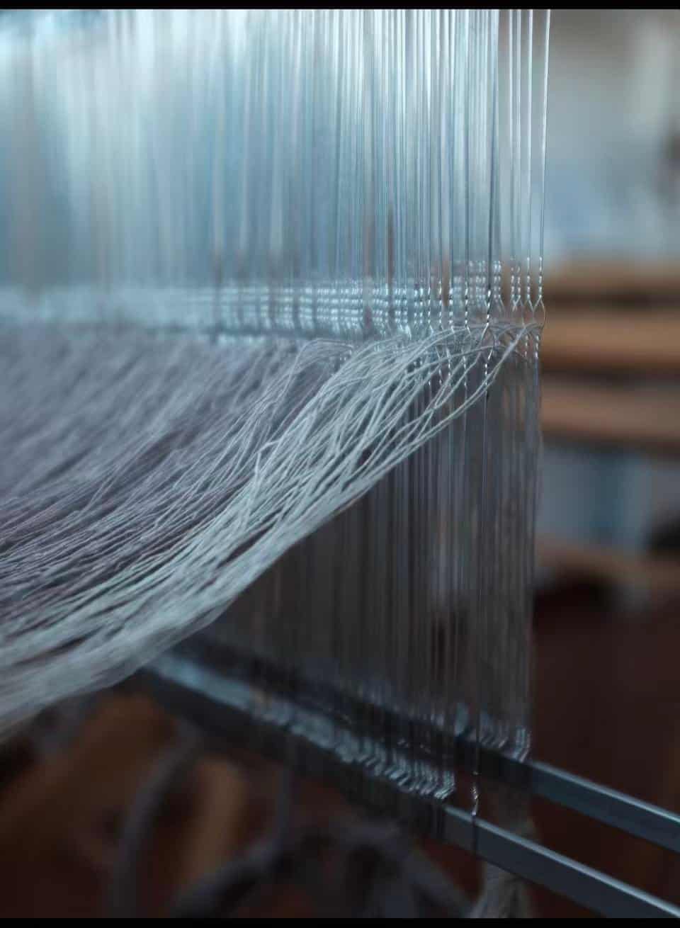 综眼