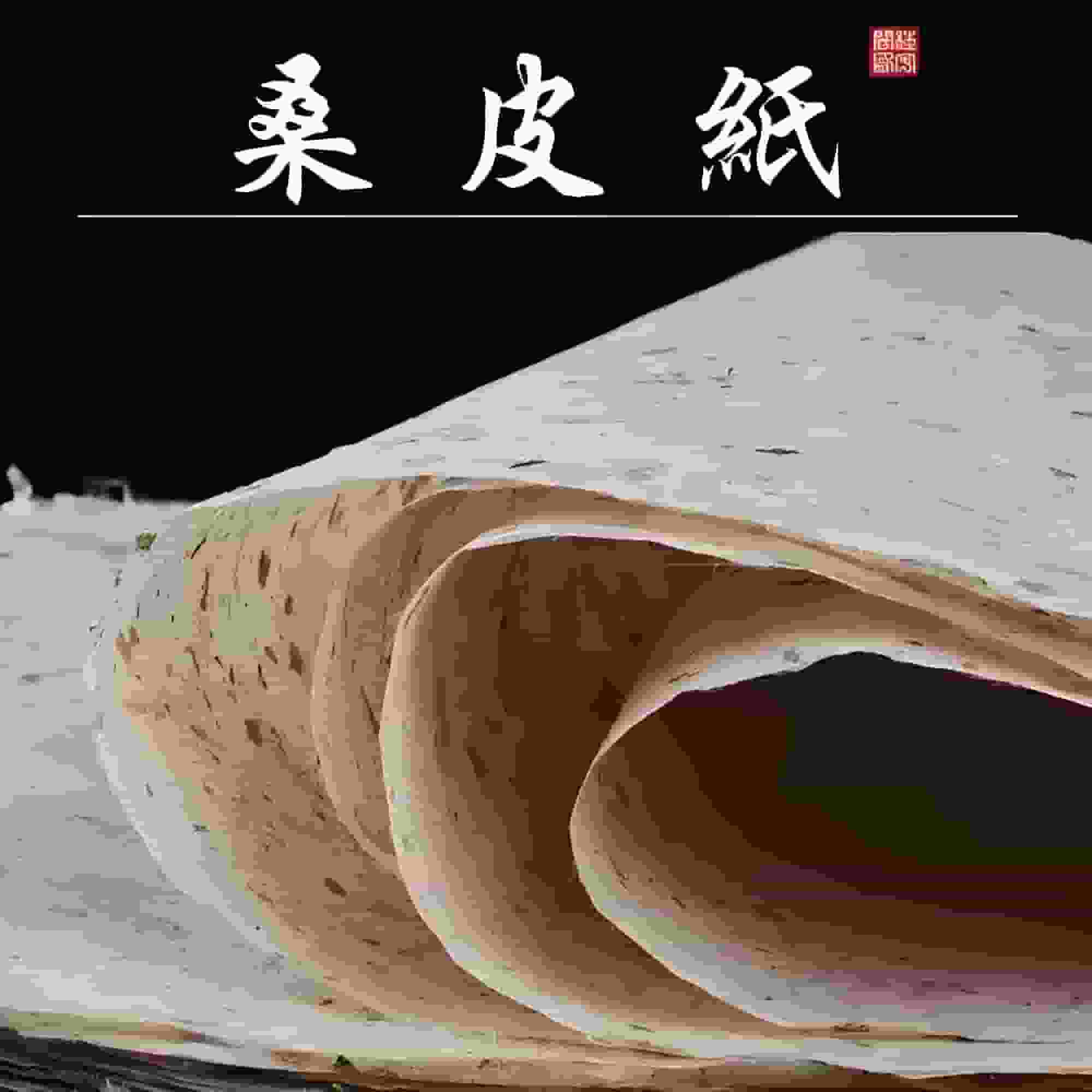 桑皮纸_成品桑皮纸_05
